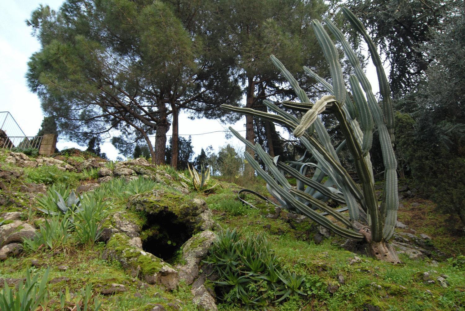 La Dimora Le Fumarole